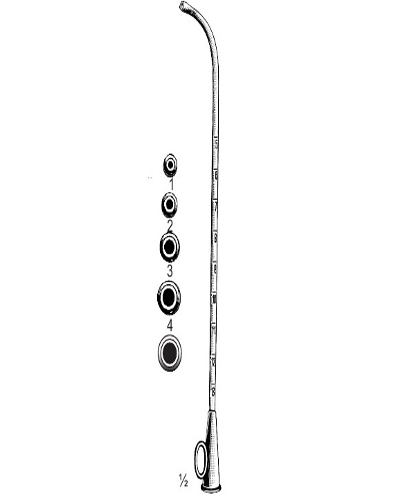 <span>Troeltsch</span>
