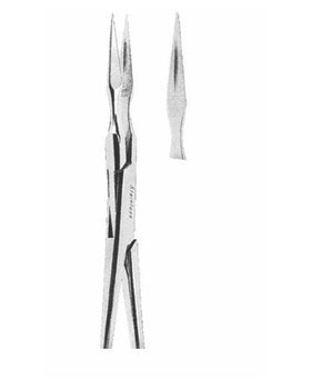 <span>Root Fragments</span>