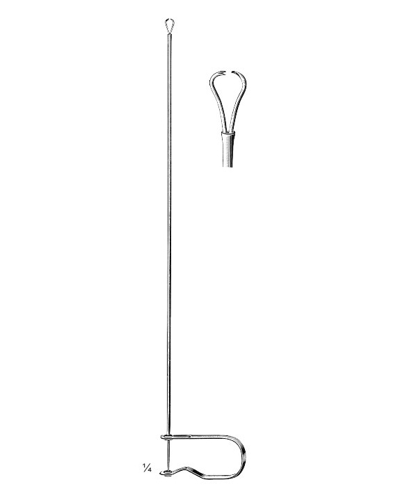 <span>Cotton Carrier </span>