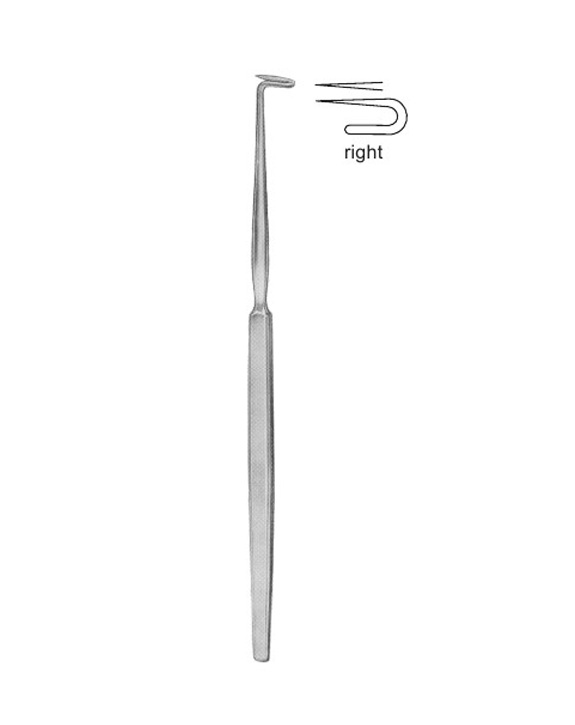 <span>Bose</span>