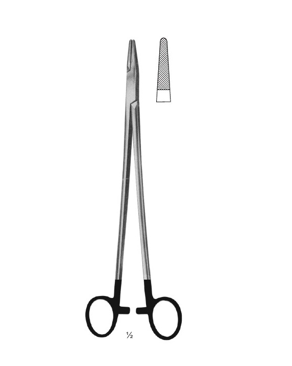 <span>Hegar</span>
