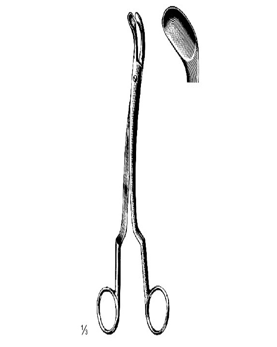 <span>Chatellier</span>