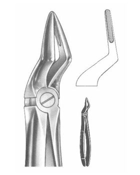 <span>Upper Roots</span>