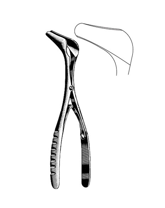 <span>Mod. Wein</span>