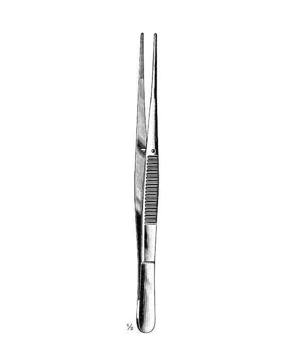 <span>Brophy</span>
