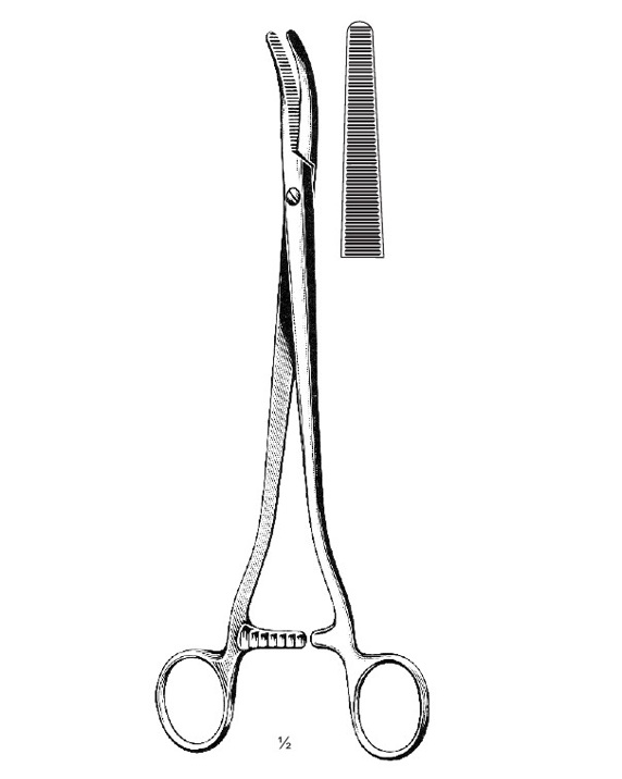 <span>Segond-Landau</span>