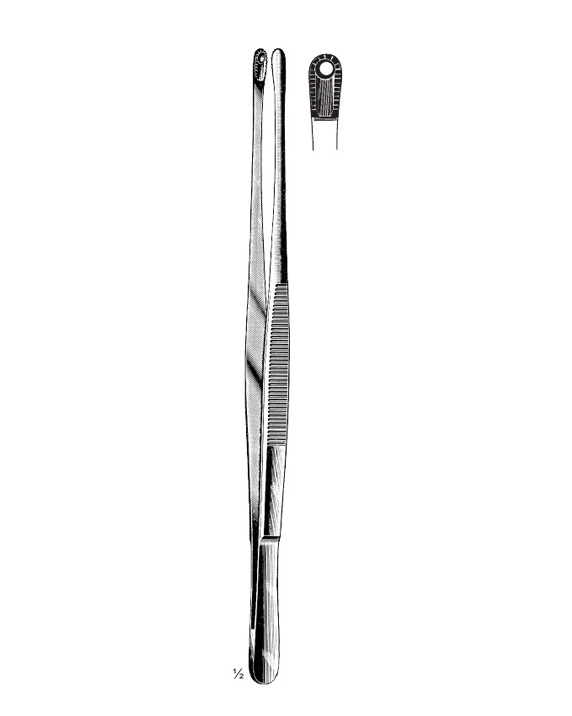 <span>Davis</span>