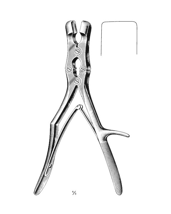 <span>Sauerbruch</span>