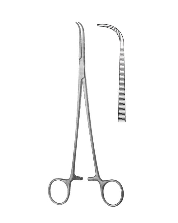 <span>Gemini (DeBakey-Mixter)</span>