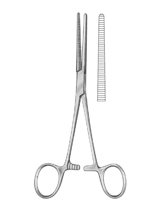 <span>Rochester-Péan</span>
