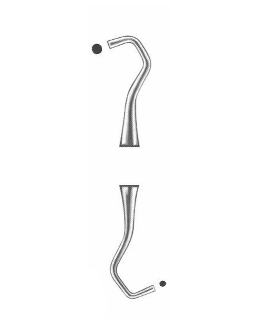 <span>Williams</span>