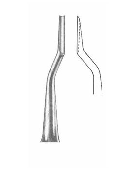 <span>Bein</span>