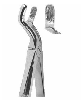 <span>Upper Third Molars</span>