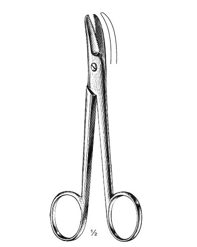 <span>Mod. Martin</span>