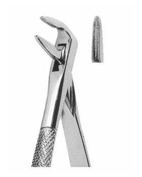 <span>Lower Incisors</span>