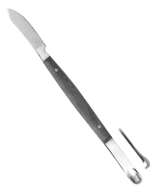 <span>Con Scodellino</span>