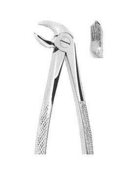 <span>Lower Molars</span>