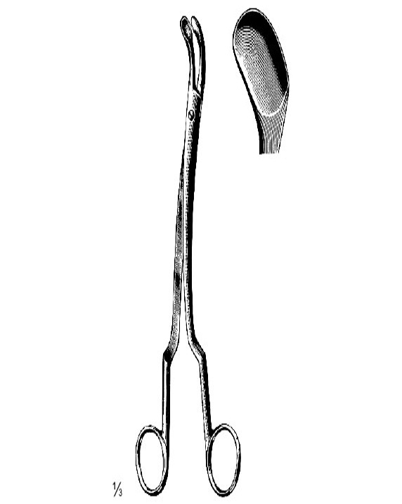 <span>Chatellier</span>