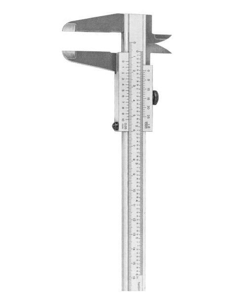 <span>Vernier</span>