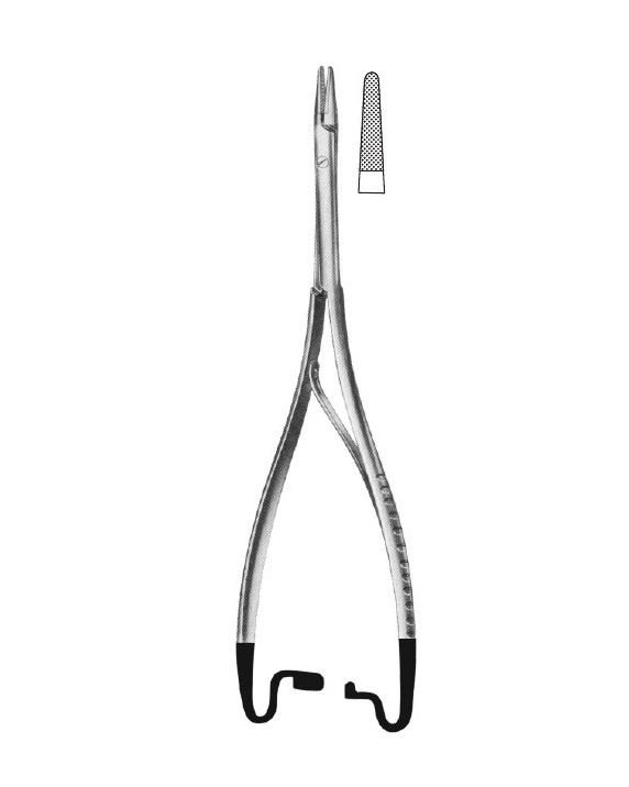 <span>Hösel</span>