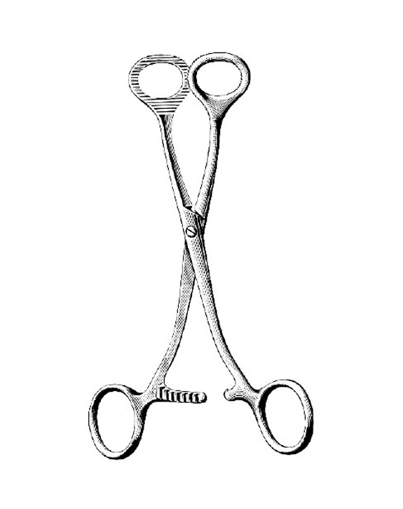 <span>Collin</span>