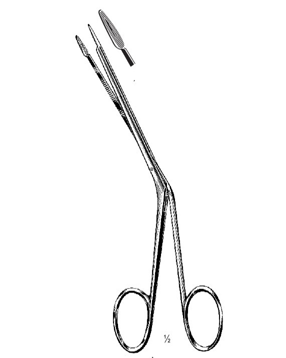 <span>Littauer</span>