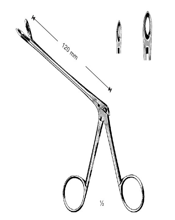 <span>Weil-Blakesley</span>