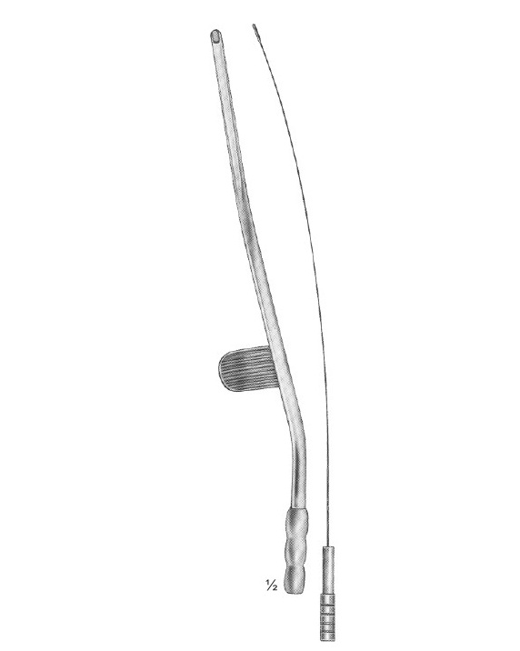 <span>Guillen</span>