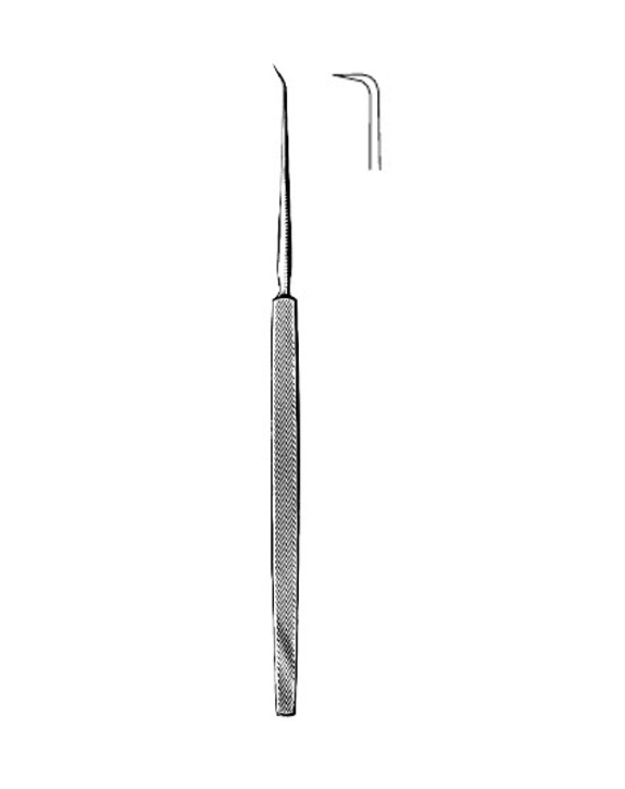 <span>Shambaugh</span>