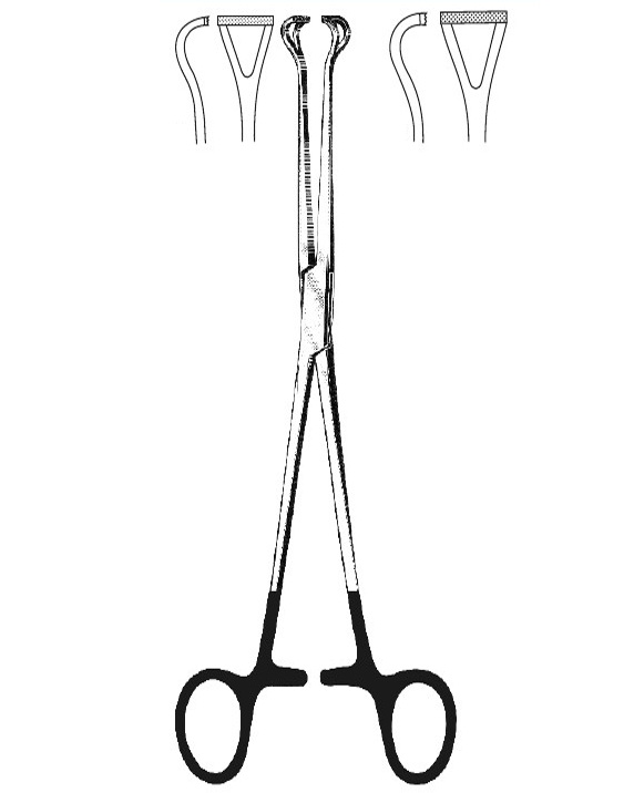 <span>Babcock</span>