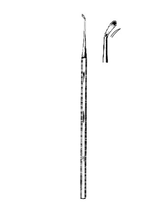 <span>Lempert</span>