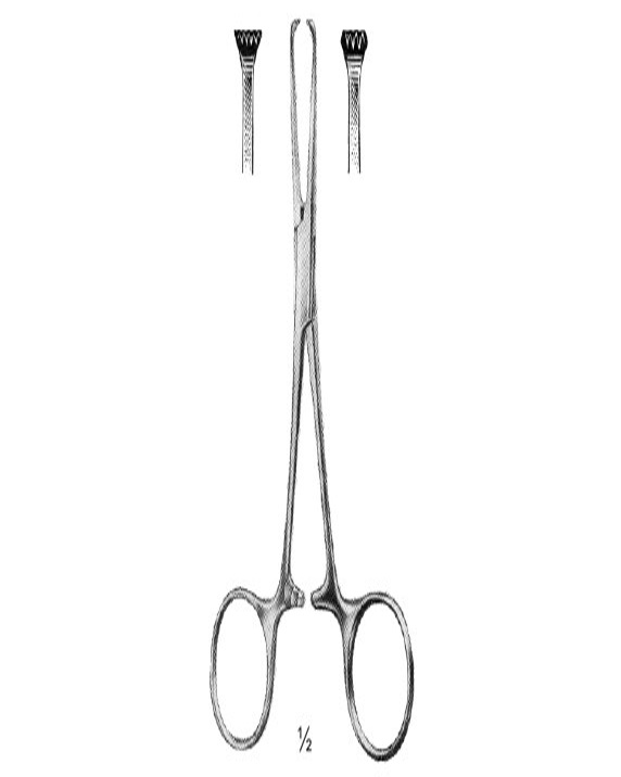 <span>Allis-Baby</span>