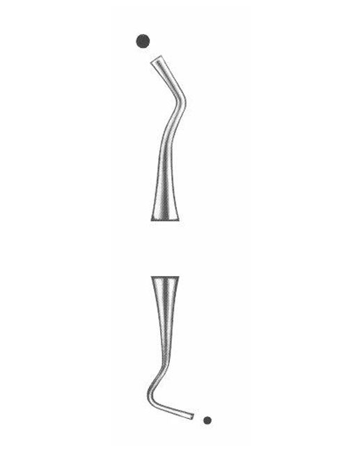 <span>Williams</span>