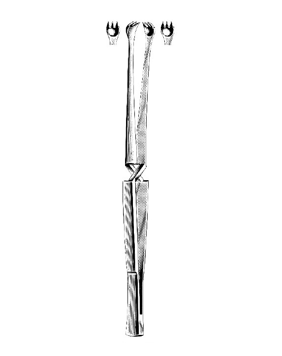 <span>Marschik</span>