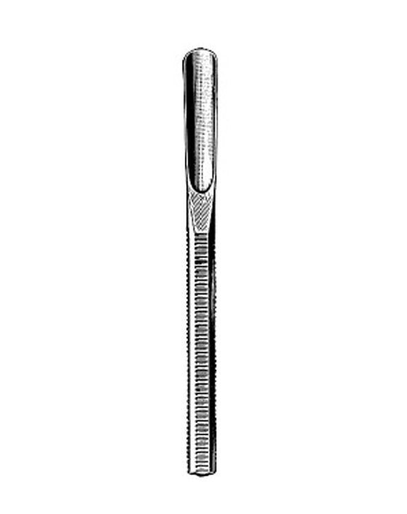 <span>Schwartze</span>