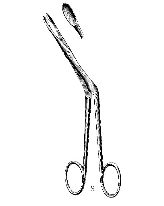 <span>Heymann</span>