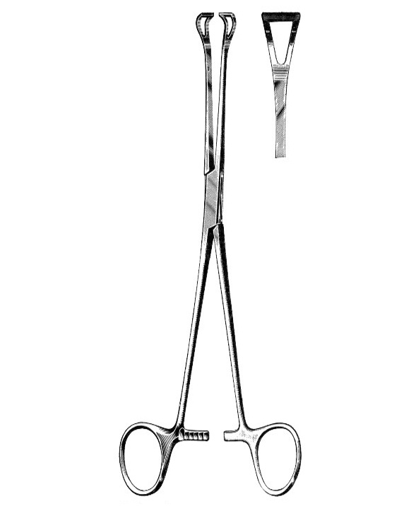 <span>Babcock</span>