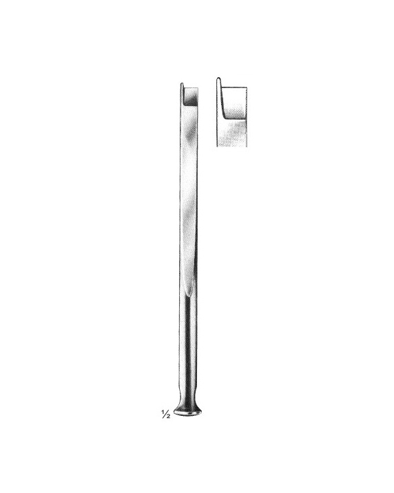 <span>Fomon</span>