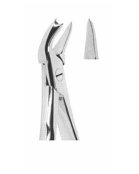 <span>Upper Molars Left </span>