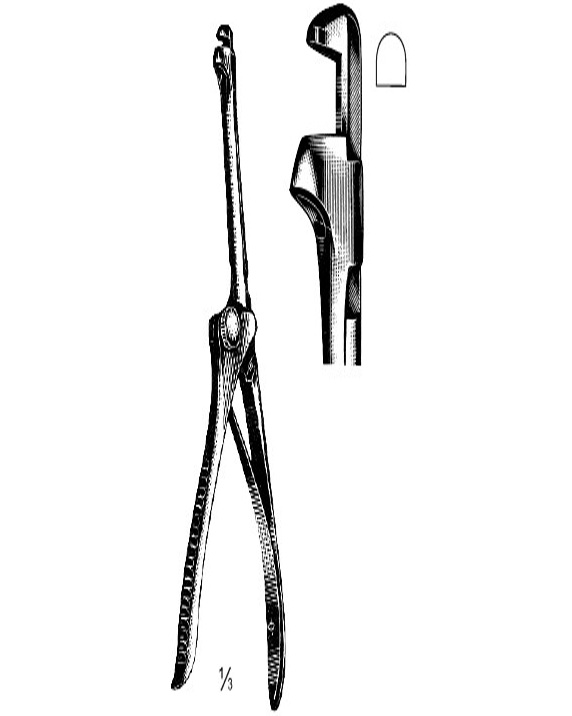 <span>Hajek-Claus</span>