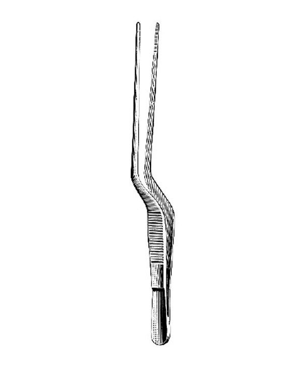 <span>Jansen</span>