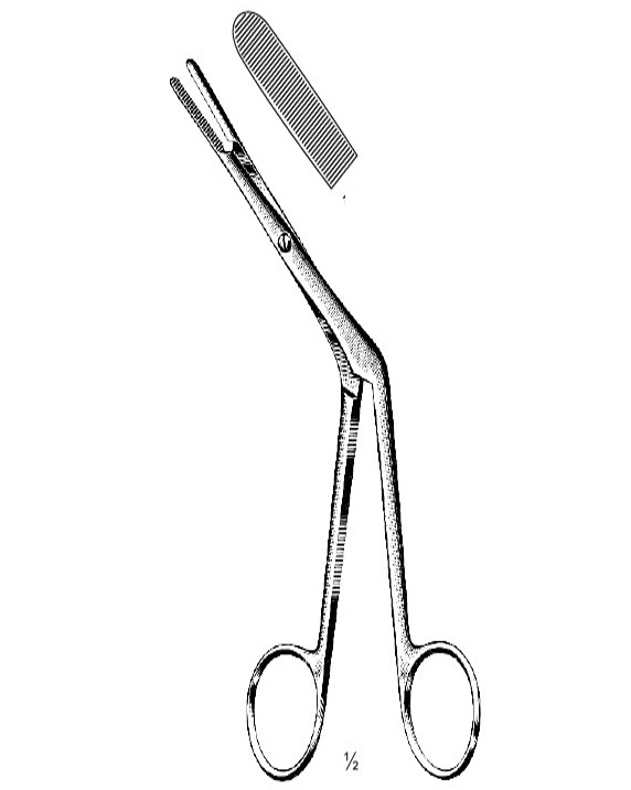 <span>Killian</span>