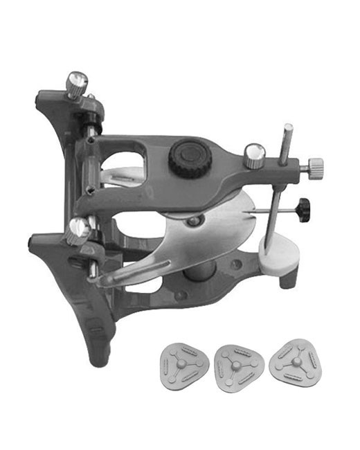 <span>Articulators </span>