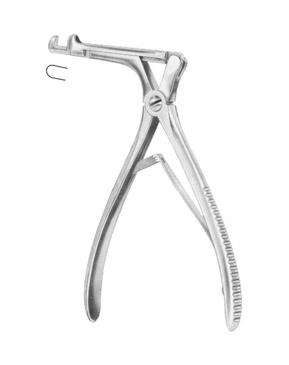 <span>Citelli</span>