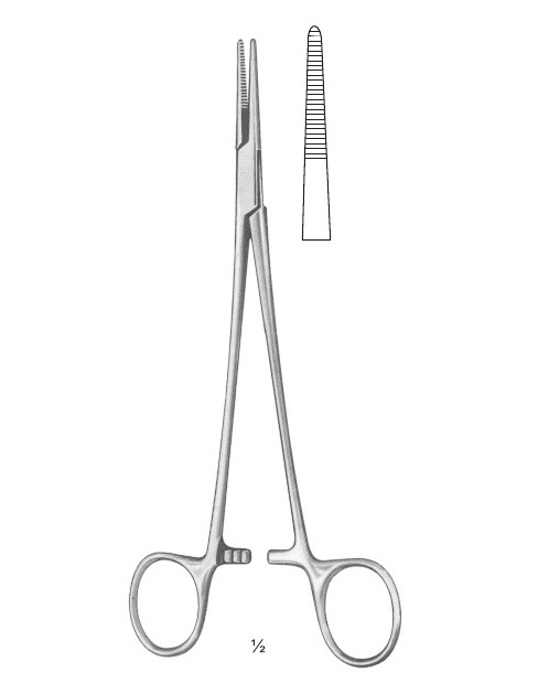<span>Adson</span>