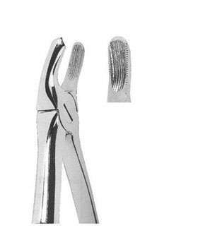 <span>Upper Molars Left </span>