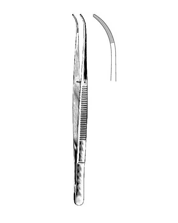 <span>Potts-Smith</span>