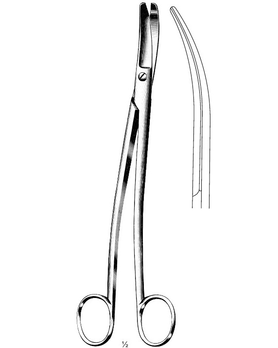 <span>Siebold</span>