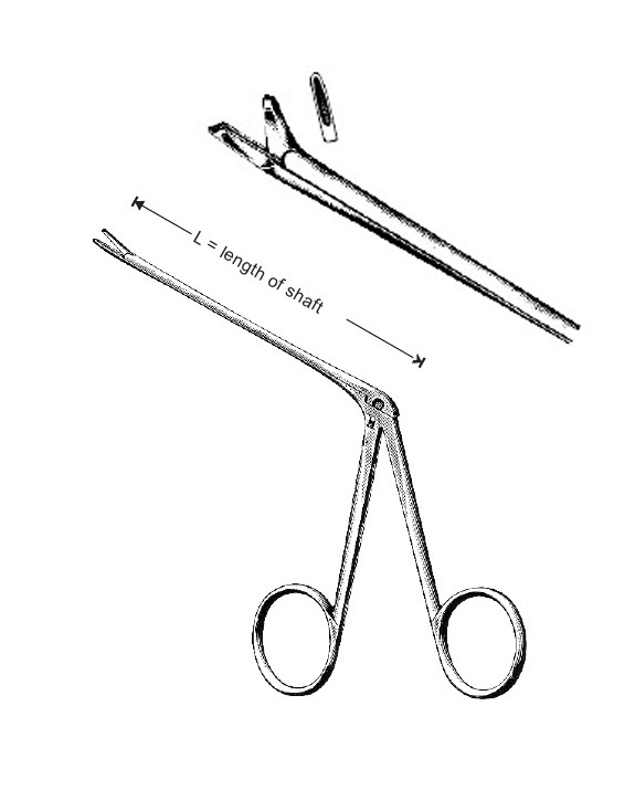 <span>Hartmann</span>