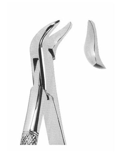 Lower Molars